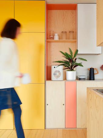 Kitchen plants