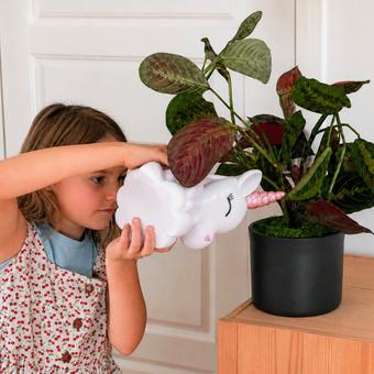 Plantes faciles d'entretien