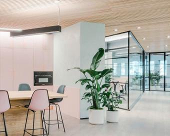 Plantes de bureau