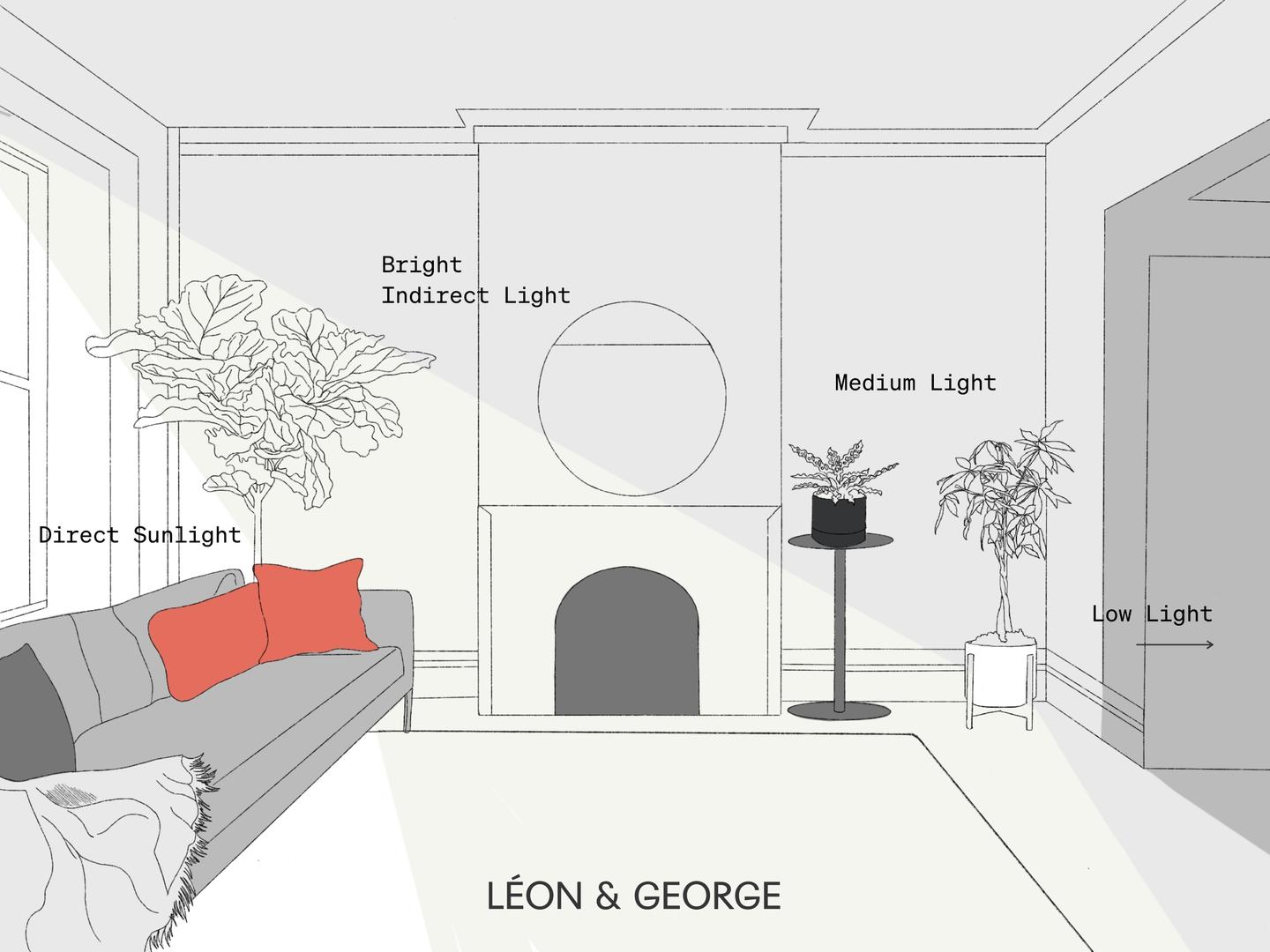 Lichtanleitung von Léon & George.