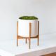 White Velvet Planter - The 32