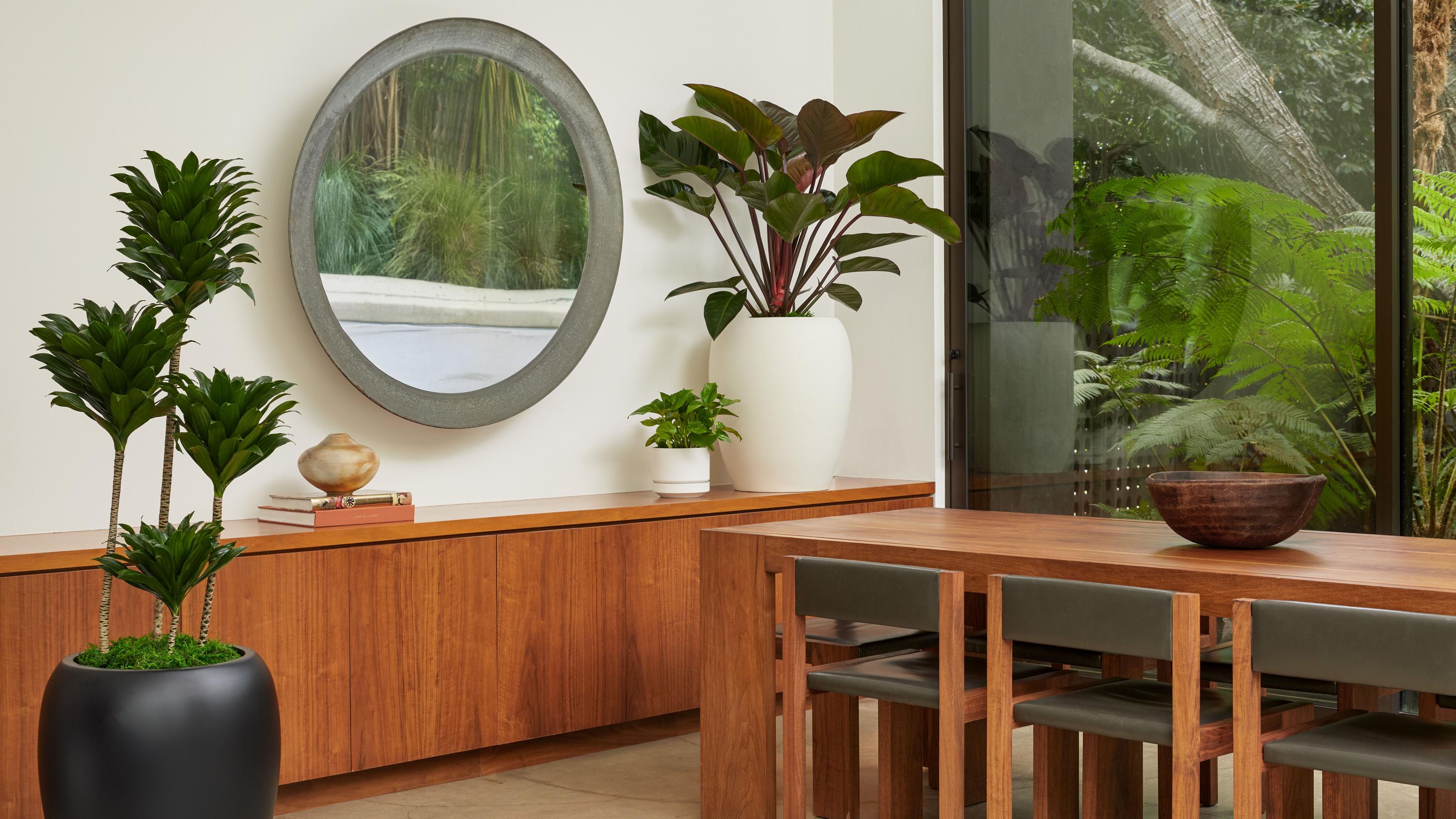 Living Art, Thoughtfully Curated