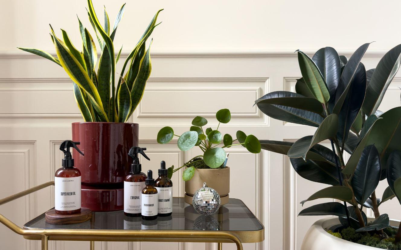 Gorgeous home decor for this season and beyond