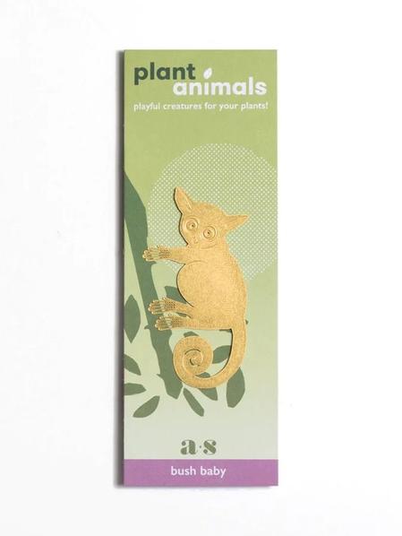 Plant Animal - Bush Baby