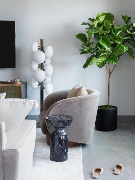 Fiddle Leaf Fig Tree