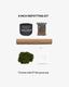 Deluxe Repotting Kit
