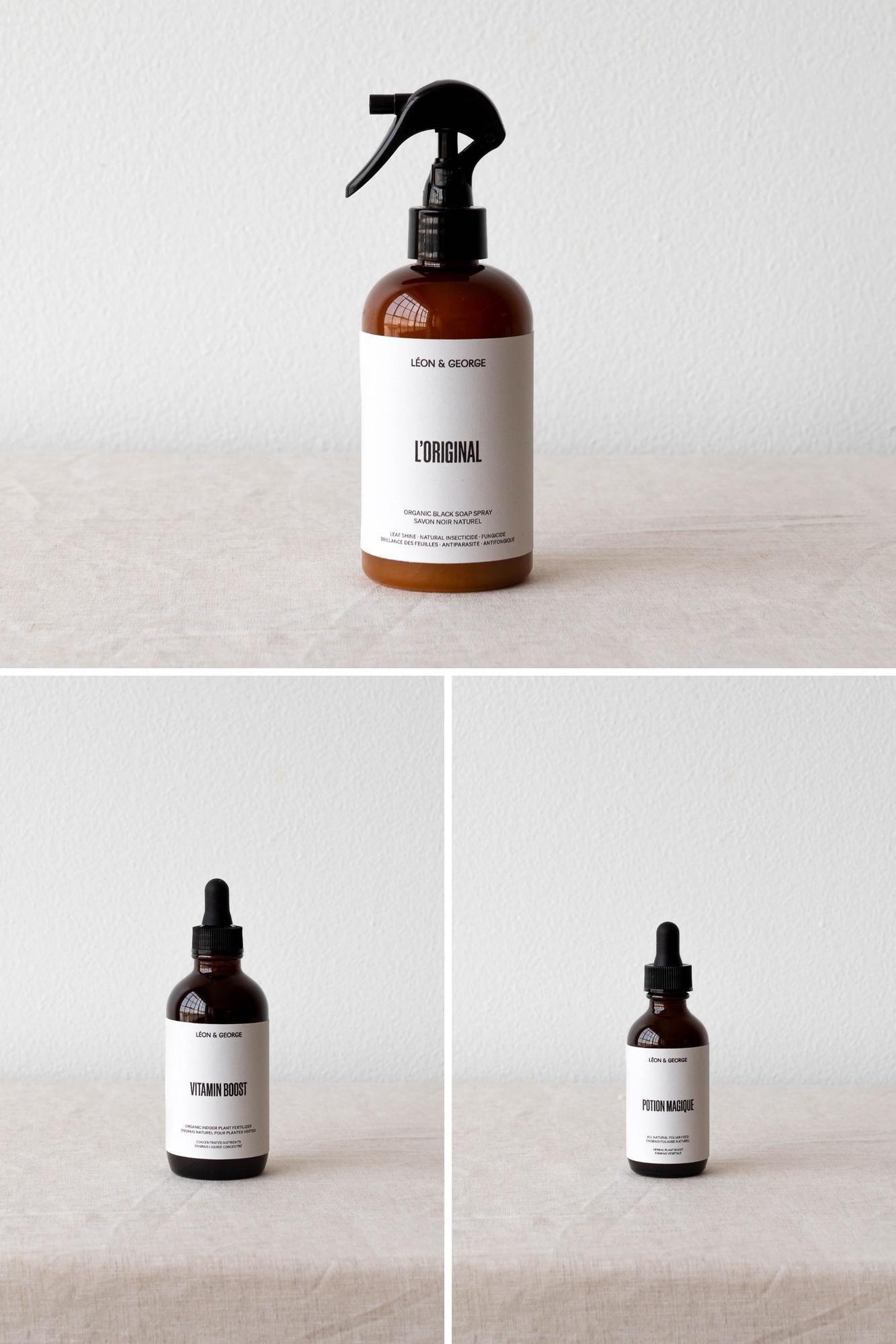 Preventive Plant Care Essentials