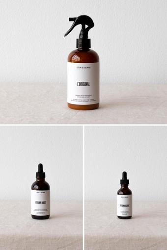 indoor plants picture