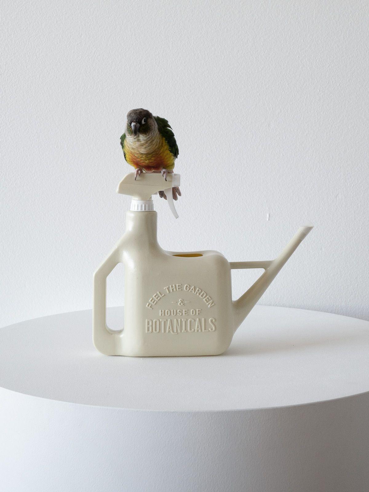 House of Botanicals Watering Can & Mister