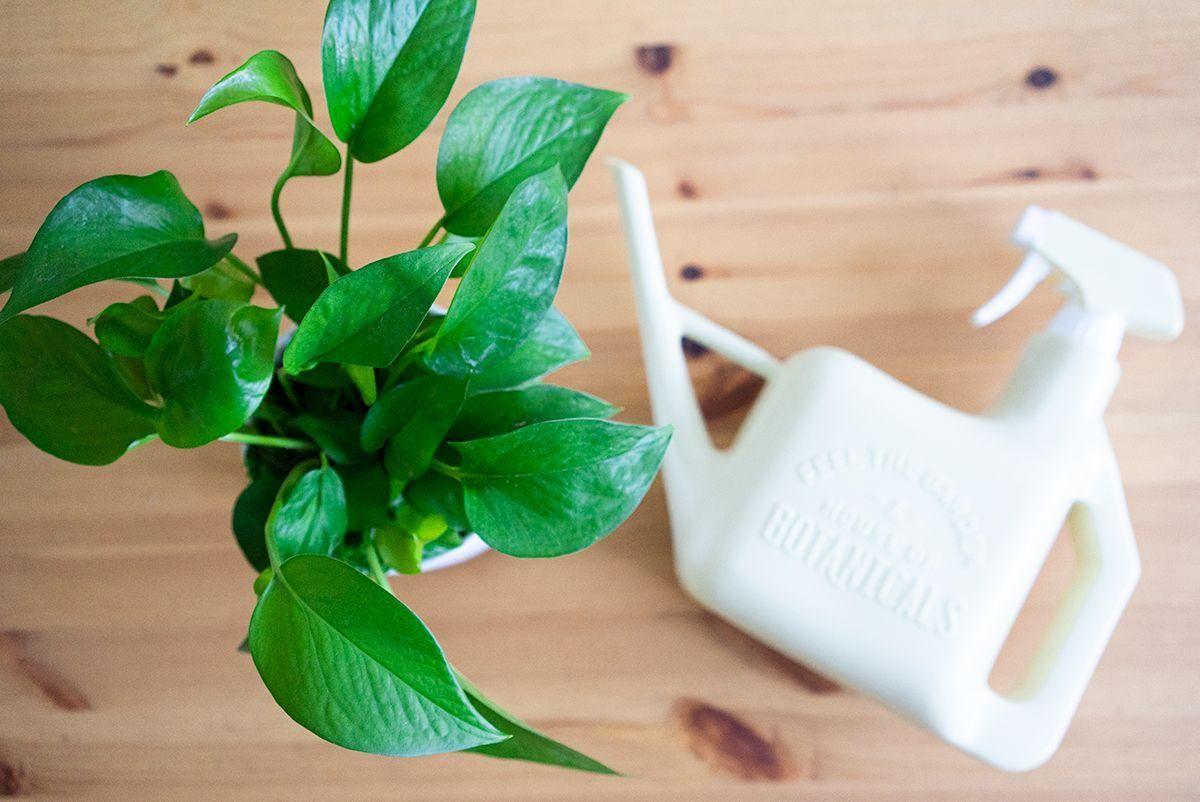 Arrosoir et Vaporisateur House of Botanicals