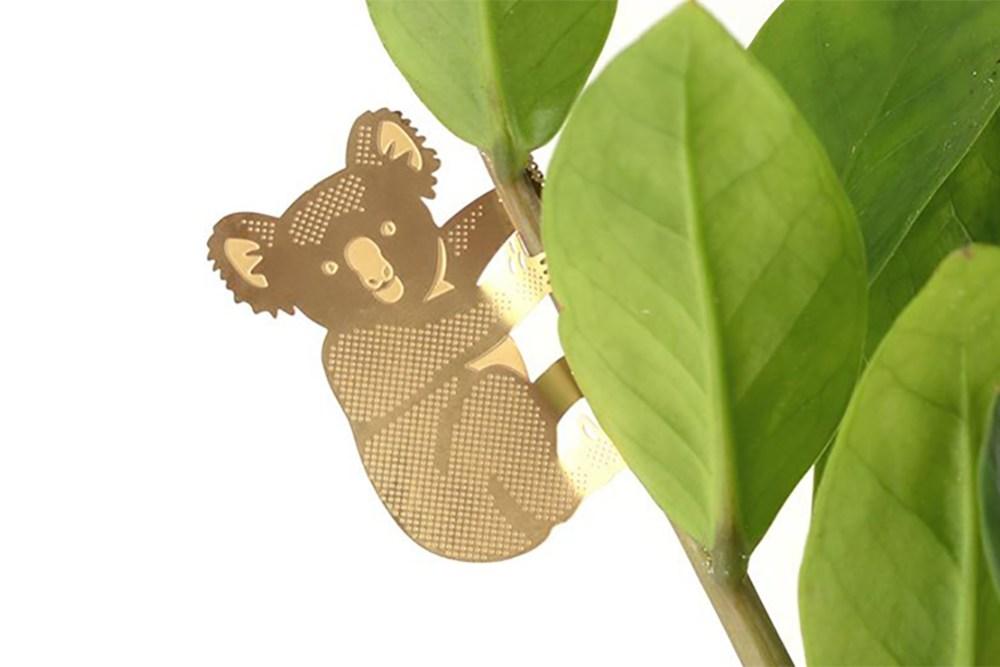 Plant Animal Koala