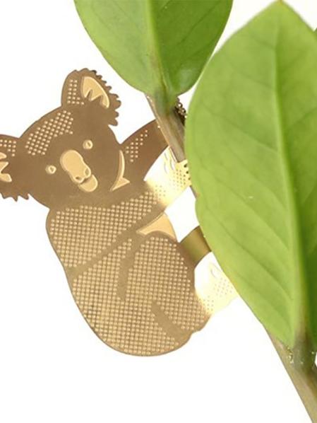 Plant Animal Koala