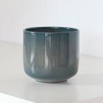 Euphorbe Marbrée - Le 19 - Curvy bleu de paon 