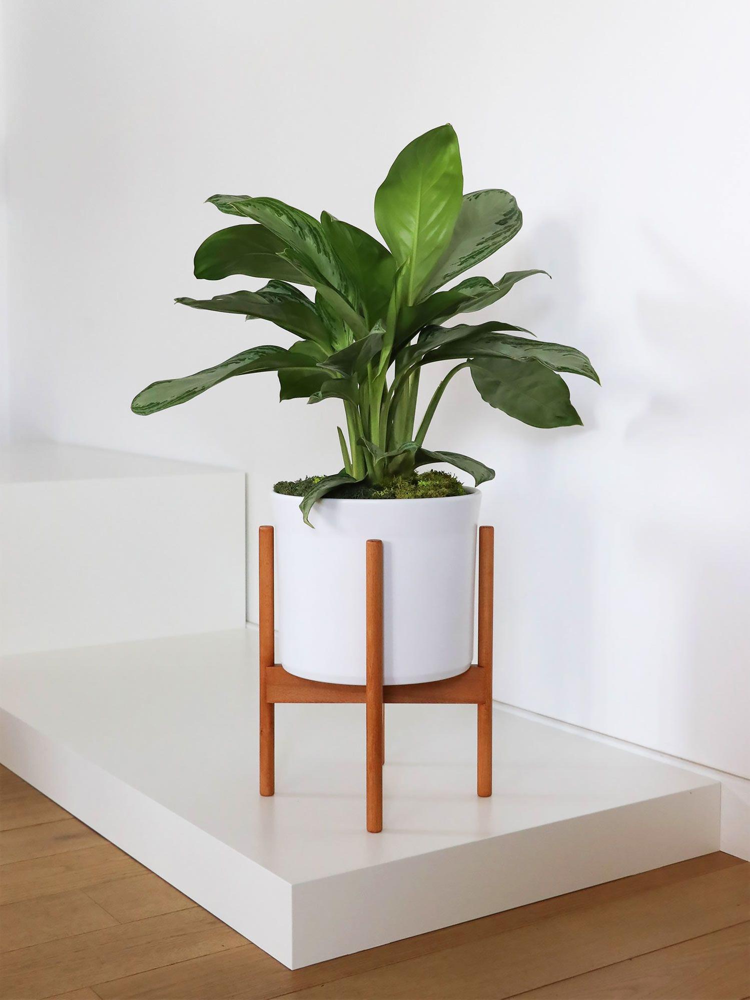 Cache-pot Velvet - Le 28