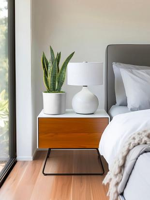 NASAs Top-Picks für Pflanzen, die auf natürliche Weise Giftstoffe filtern und die Luftqualität verbessern.