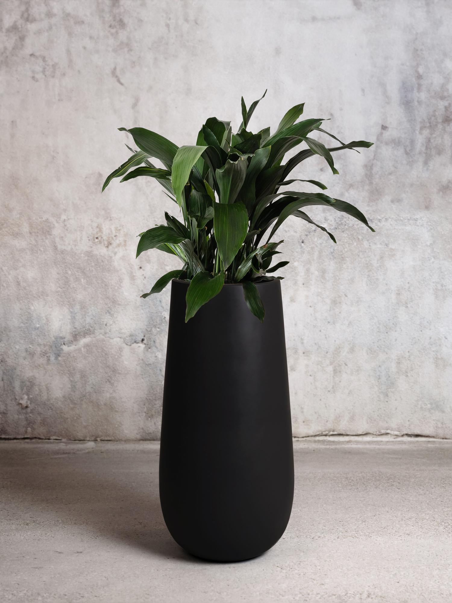 hanging pot for plants 16" York Deluxe Hanging Basket with Coco Liner