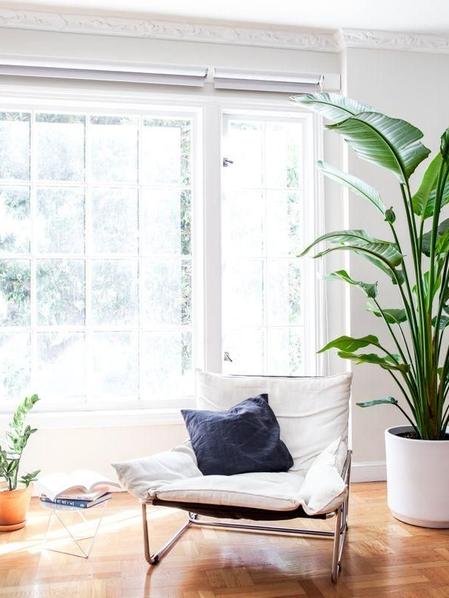 Grand Oiseau de Paradis - Mid-Century