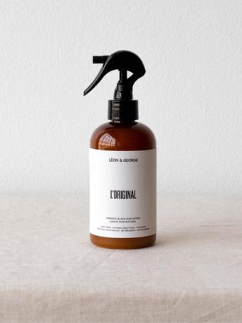 indoor plants picture