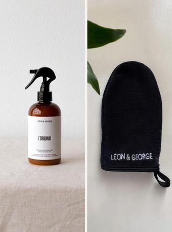 indoor plants picture