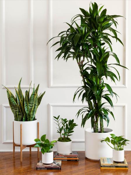 XL Easy Care Bundle