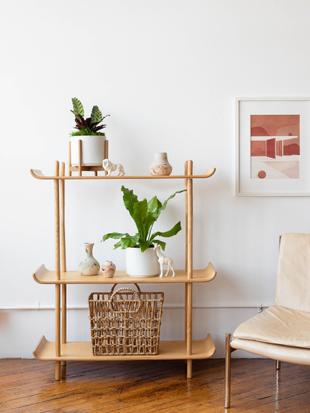 Our curated, pet-safe collection