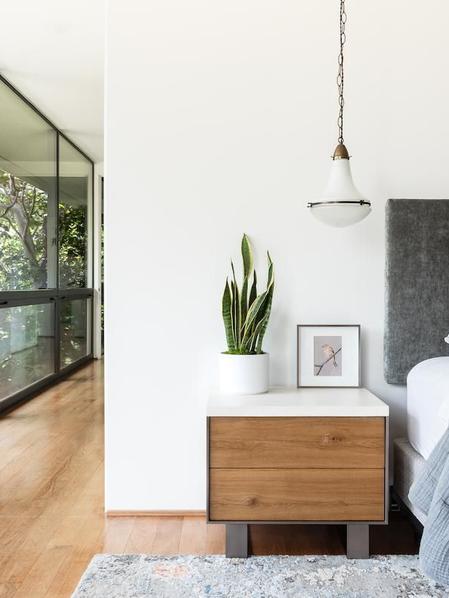 Sansevieria Laurentii