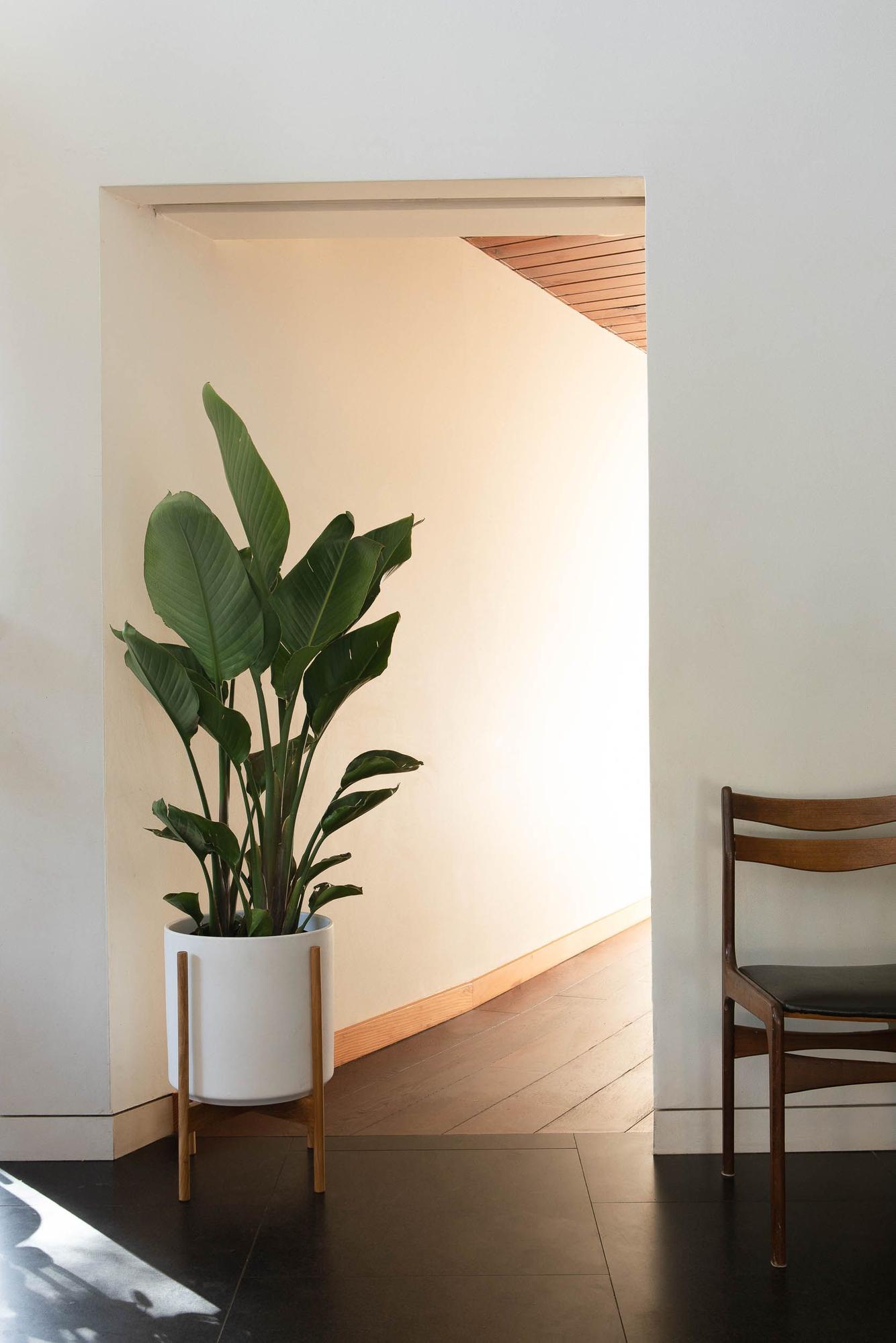 Deluxe Repotting Kit