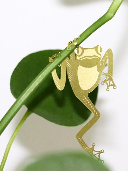 Plant Animal Grenouille