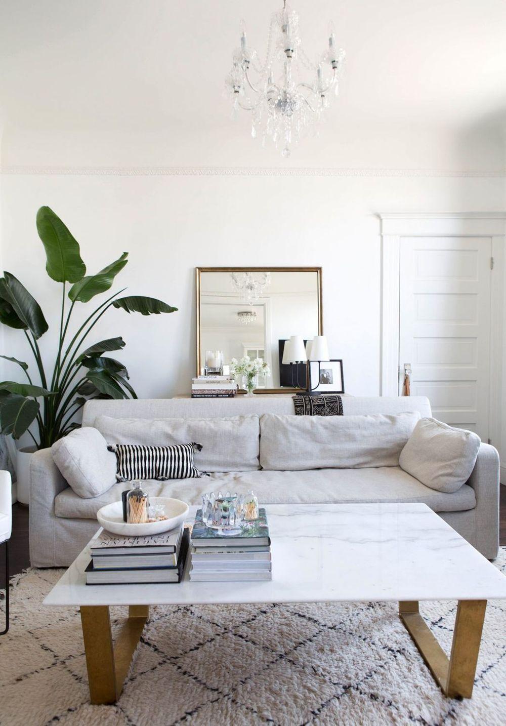 Grand Oiseau de Paradis