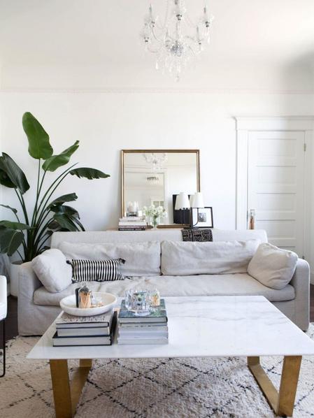 Grand Oiseau de Paradis