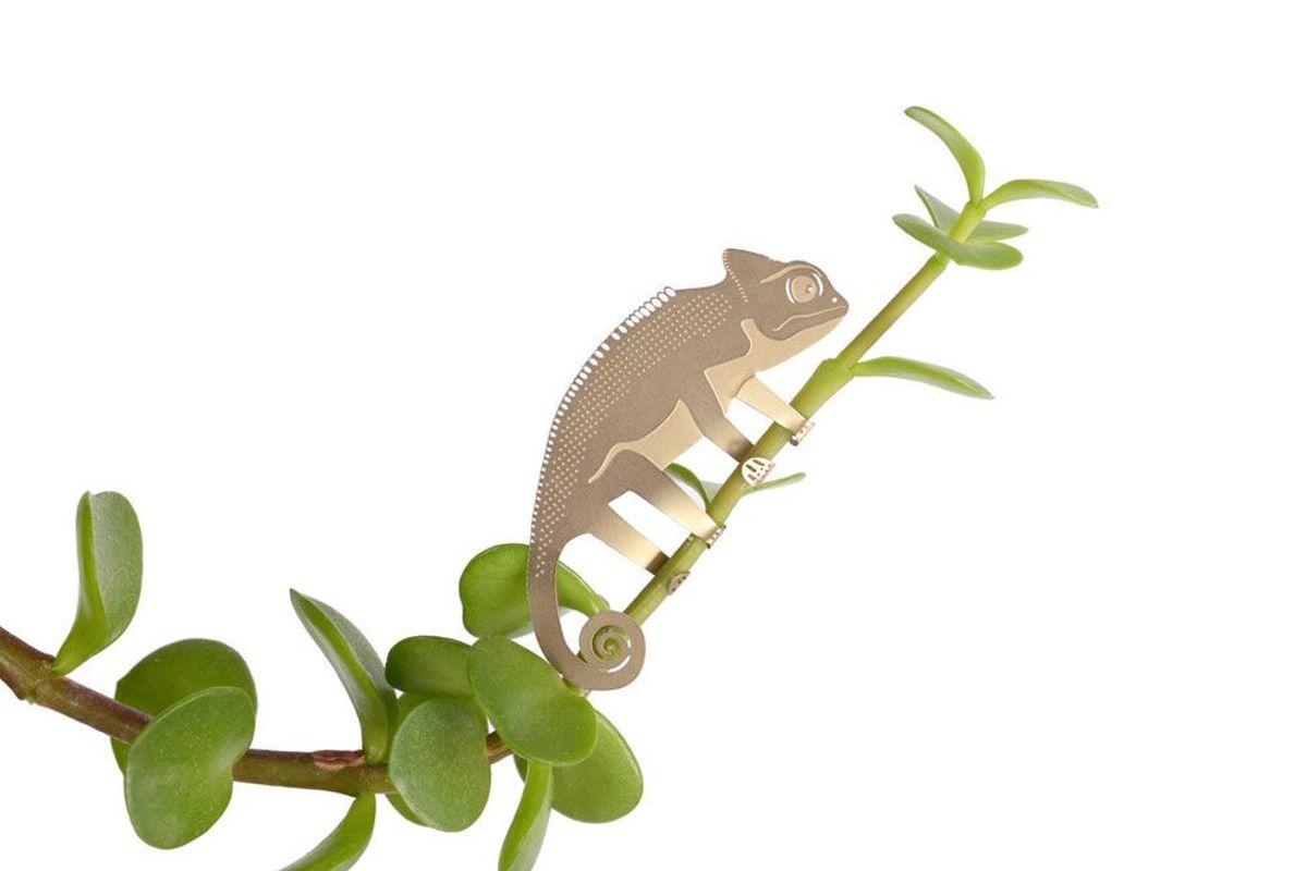 S/3 Plant Animals - Caméléon & co