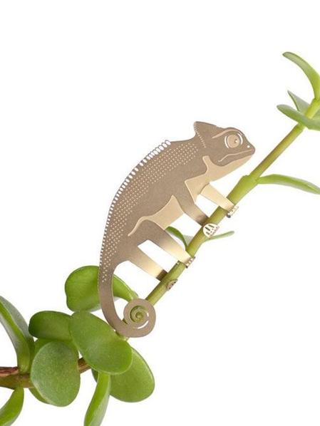 S/3 Plant Animals - Caméléon & co