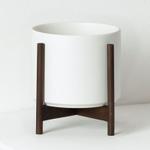Spider Plant - White Mid-Century Ceramic & Dark Wood Stand 
