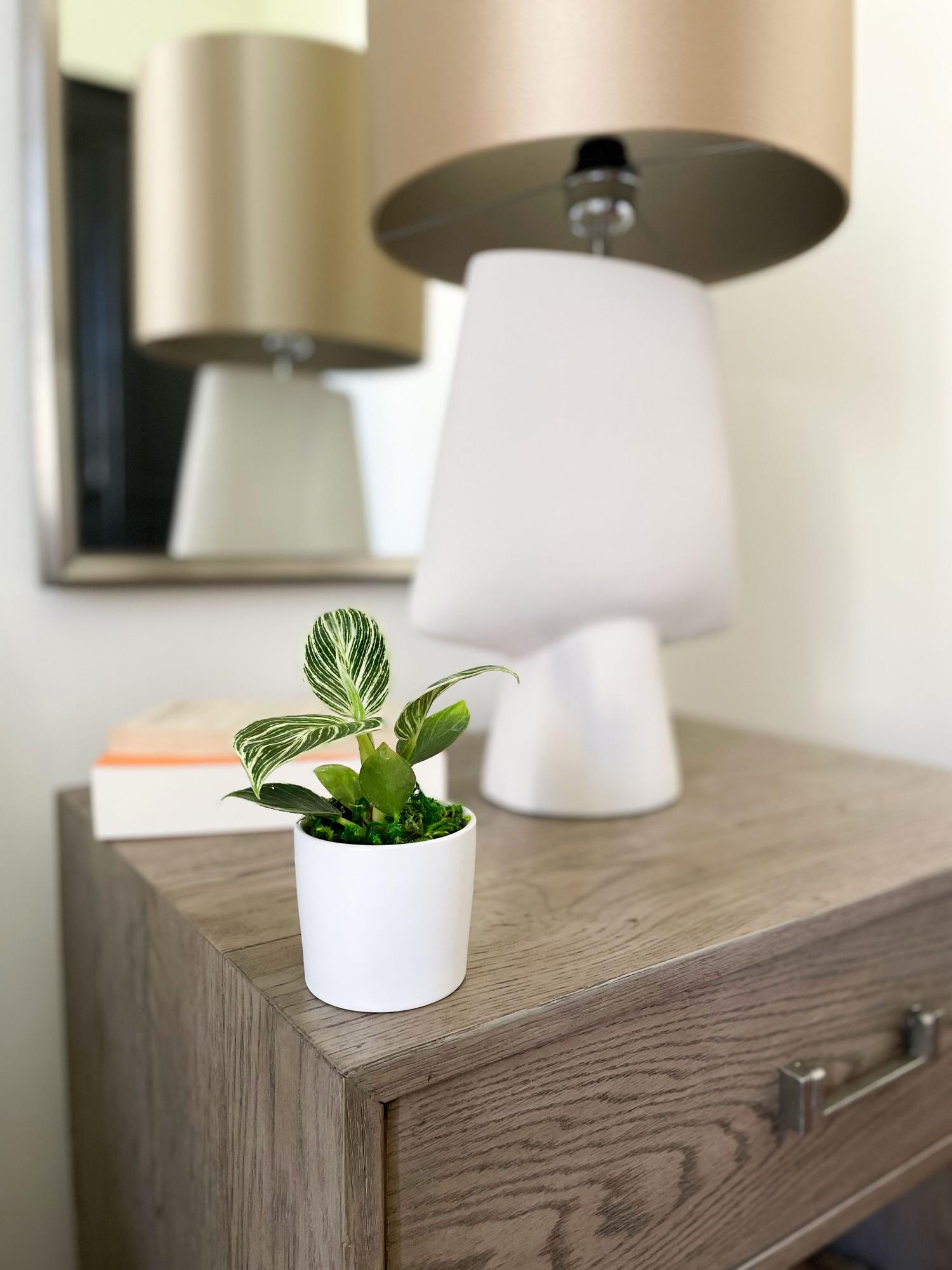 Bébé Birkin With Letterpress Card