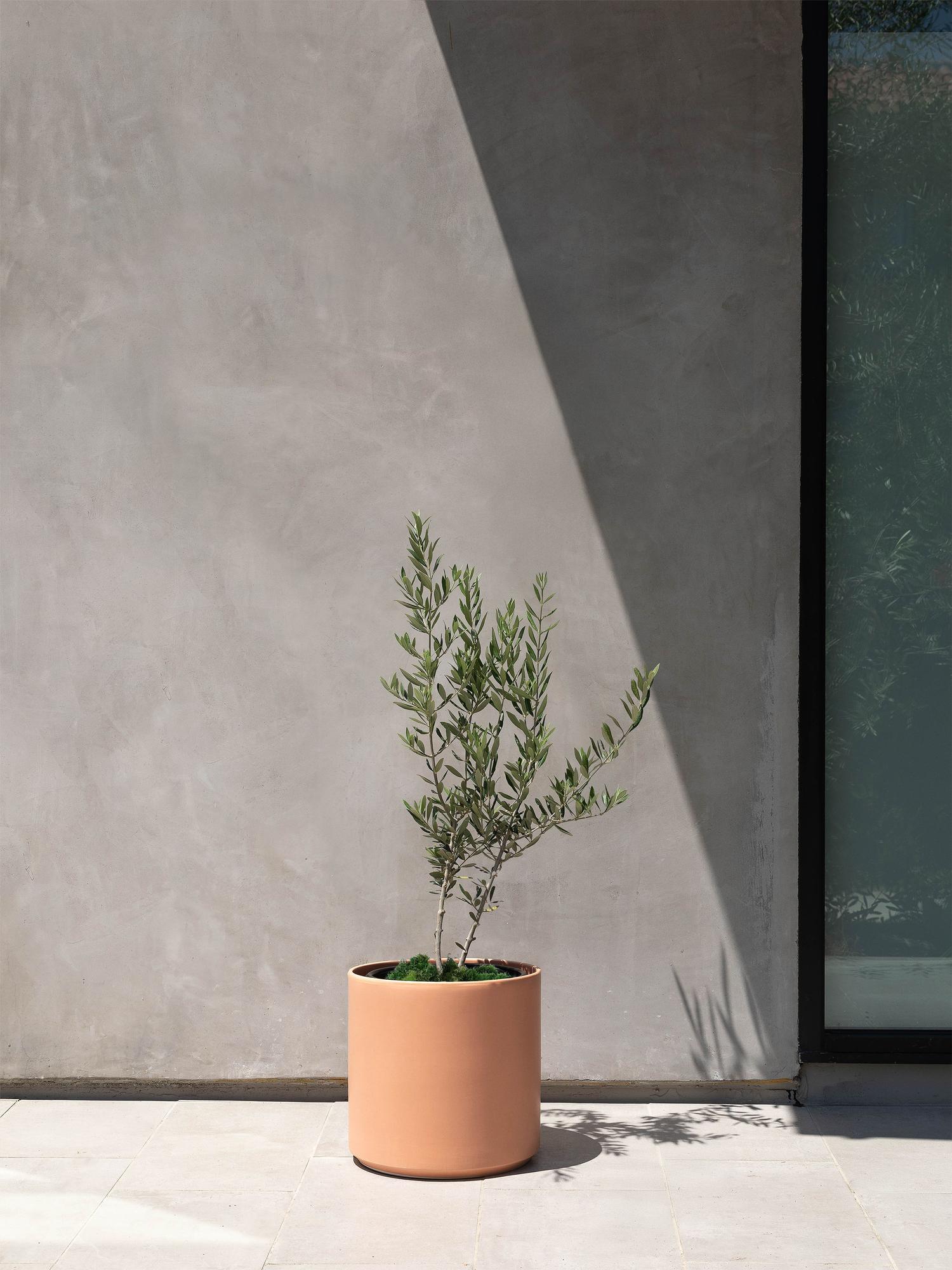 Olive Bush Large (2 ft tall) – White Mid-Century Ceramic & Light