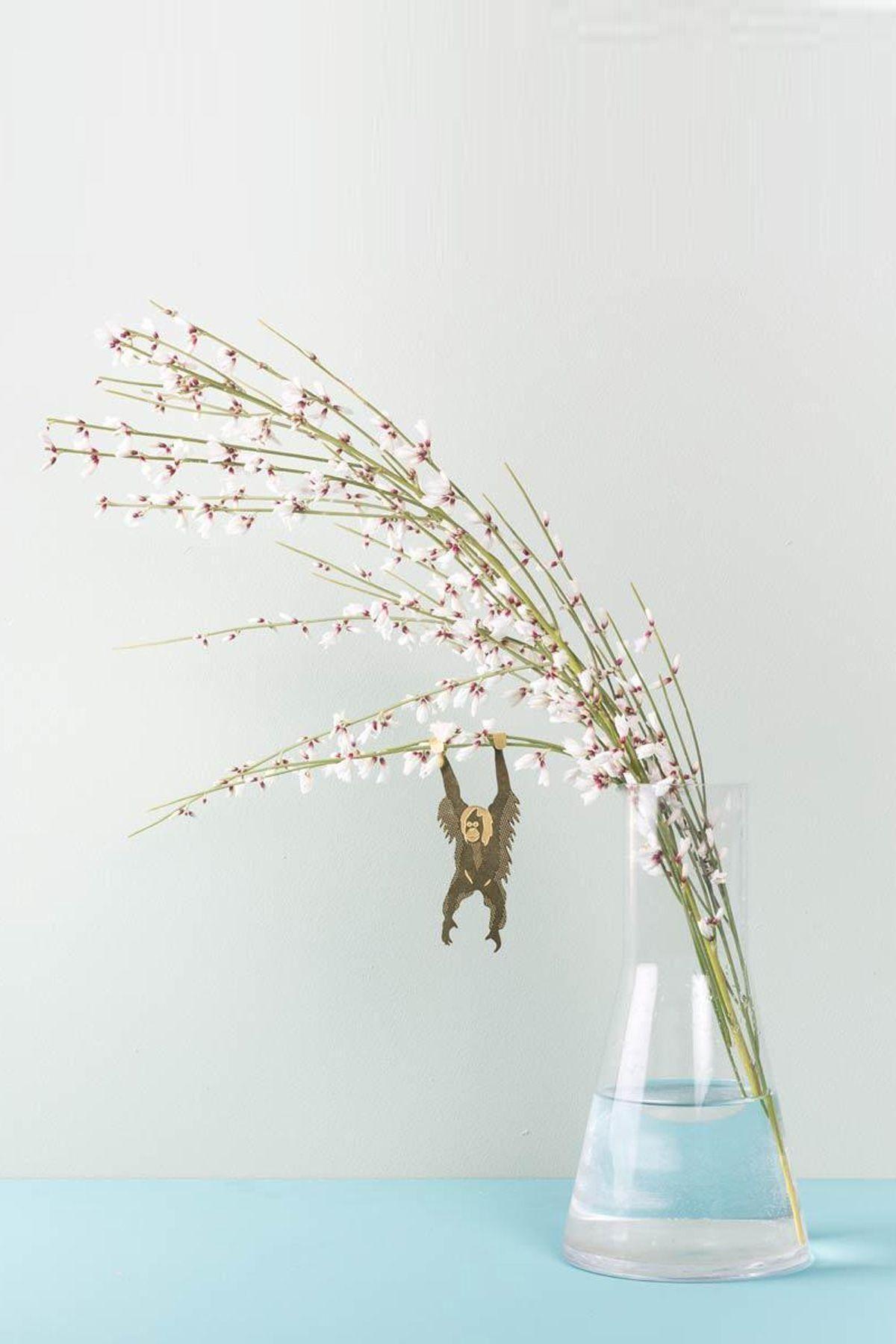 Plant Animal - Orangutan