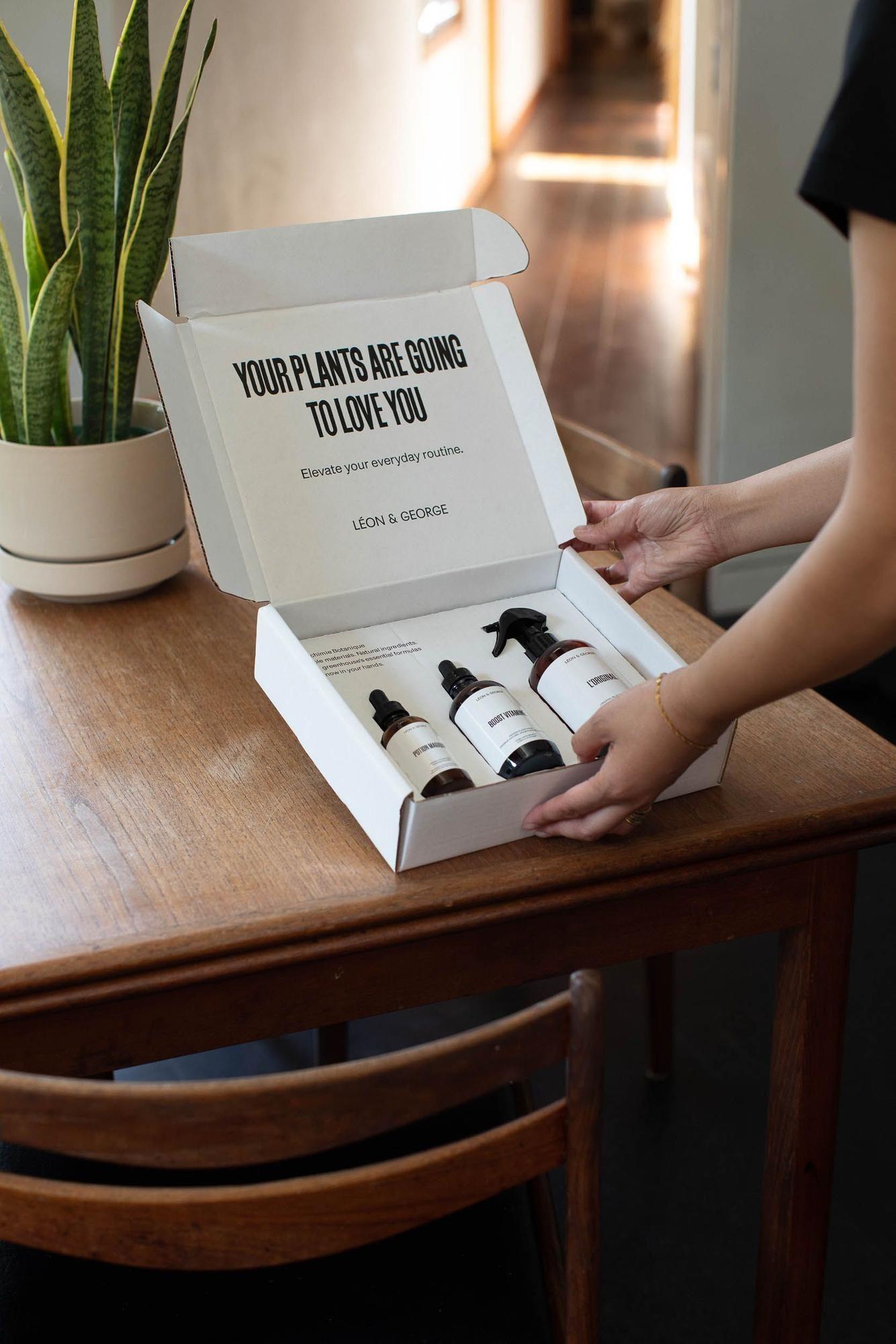 Restorative Plant Care Essentials