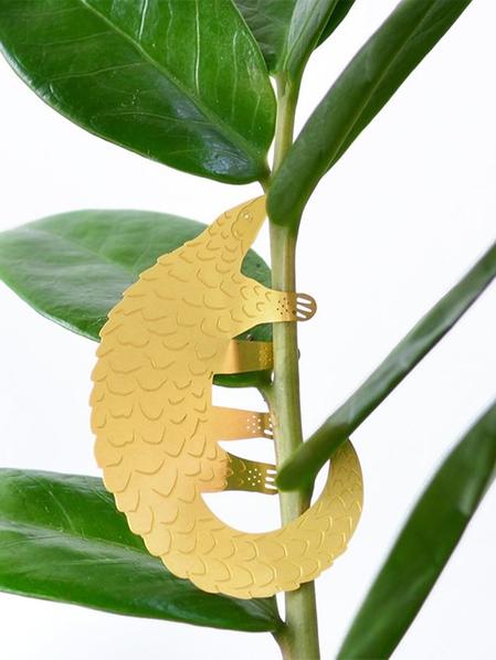 Plant Animal Pangolin