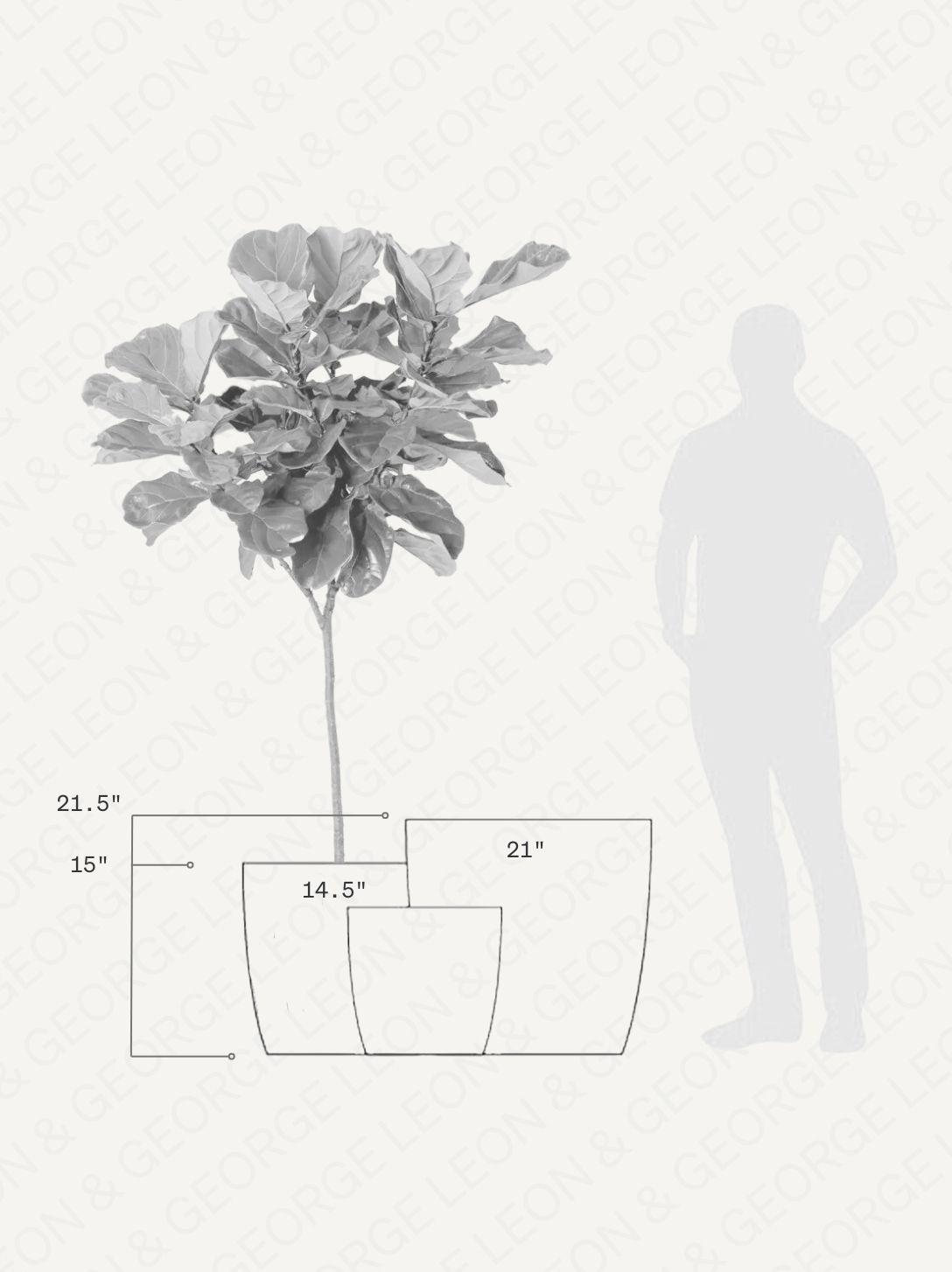 Mediterra  - Fourteen
