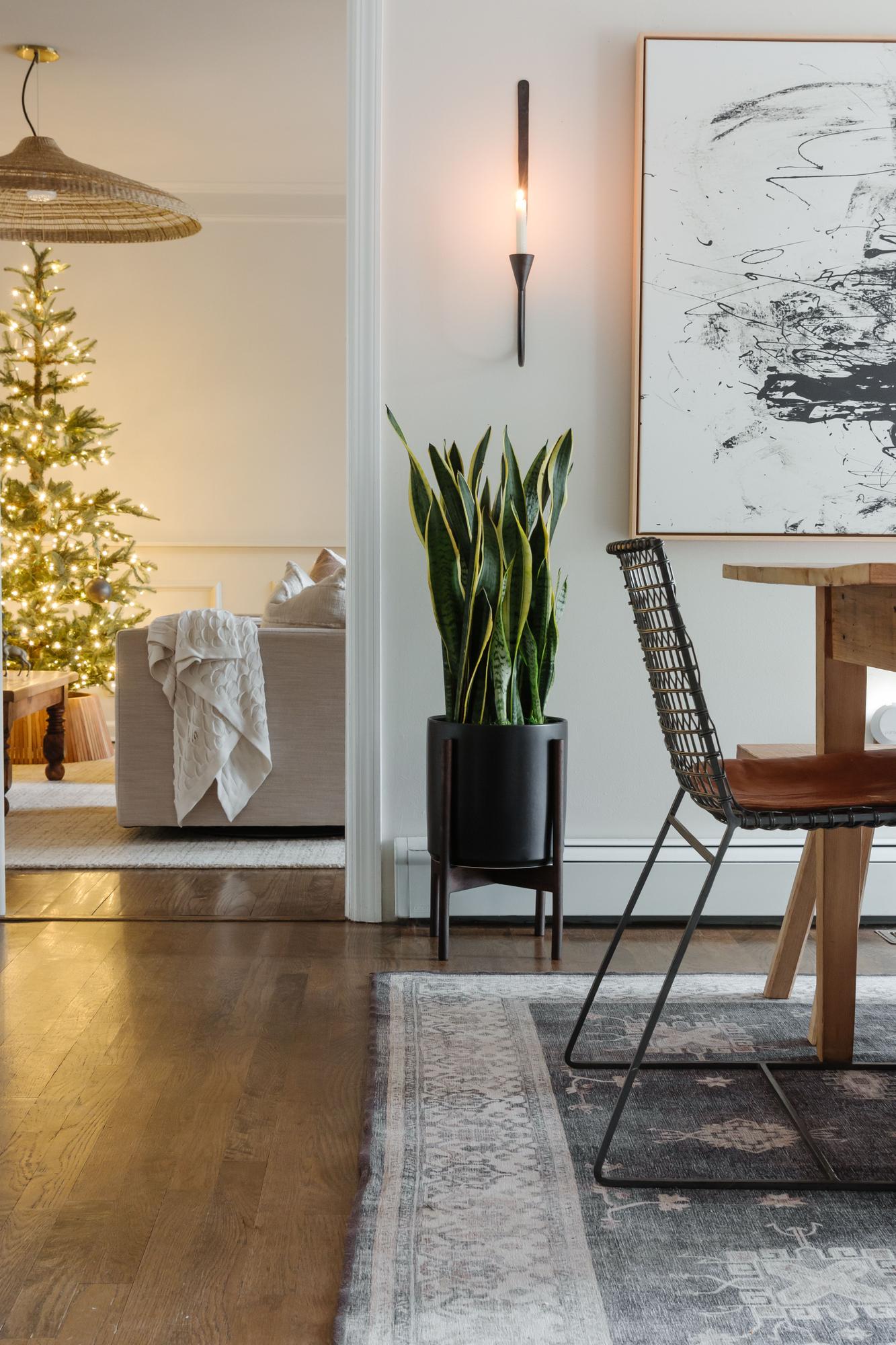 Low Light, High Style