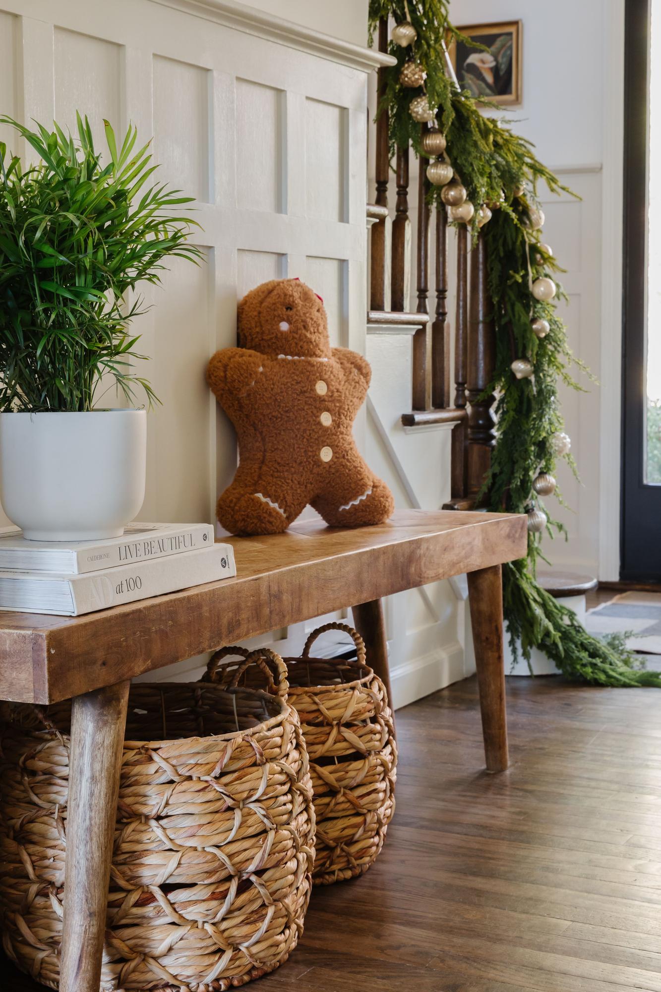 Pet-Friendly Plants for Modern Homes