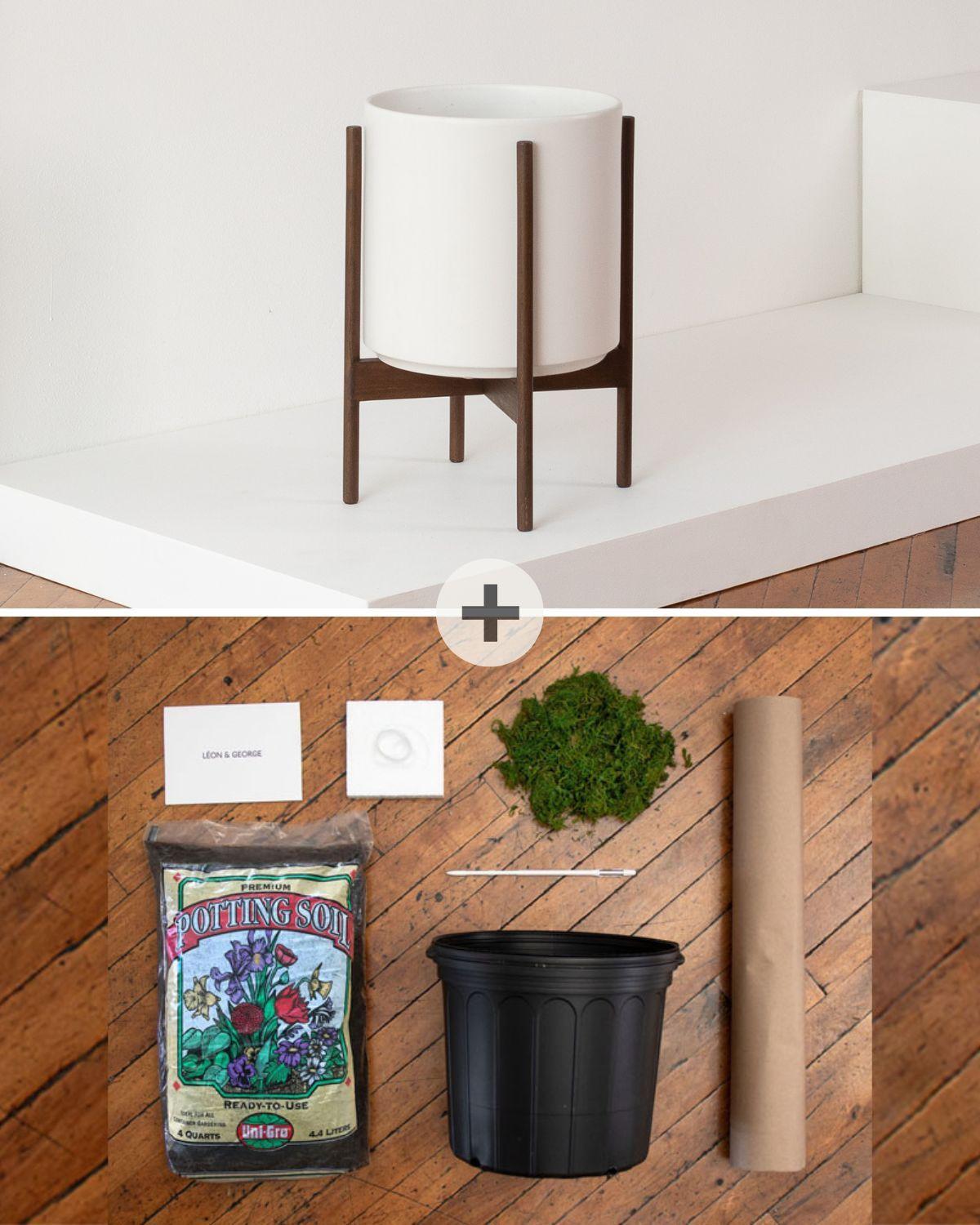 Mid-Century Cylinder - The Twelve | Lon & George