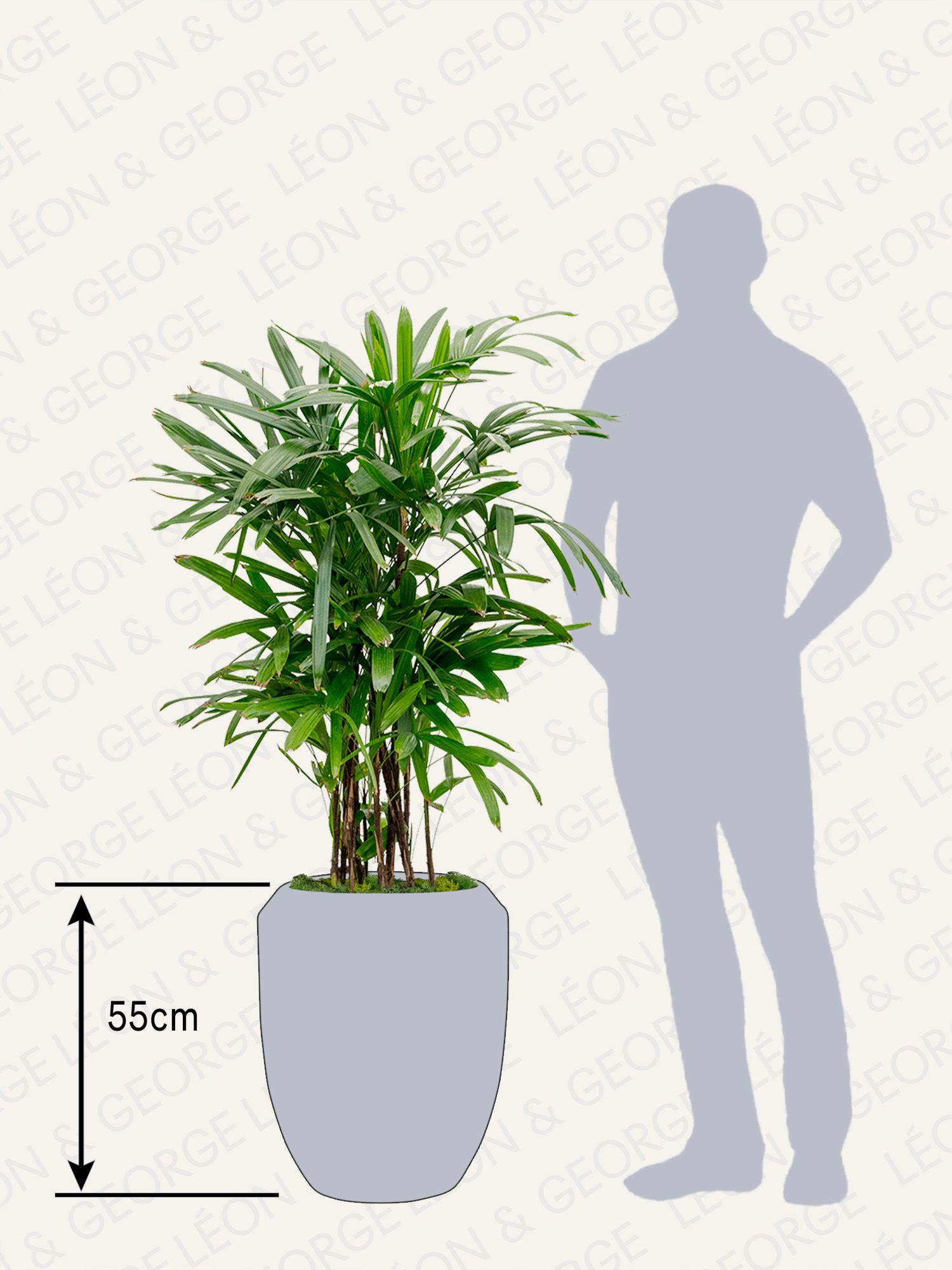 Cache-pot Verta - Le 30