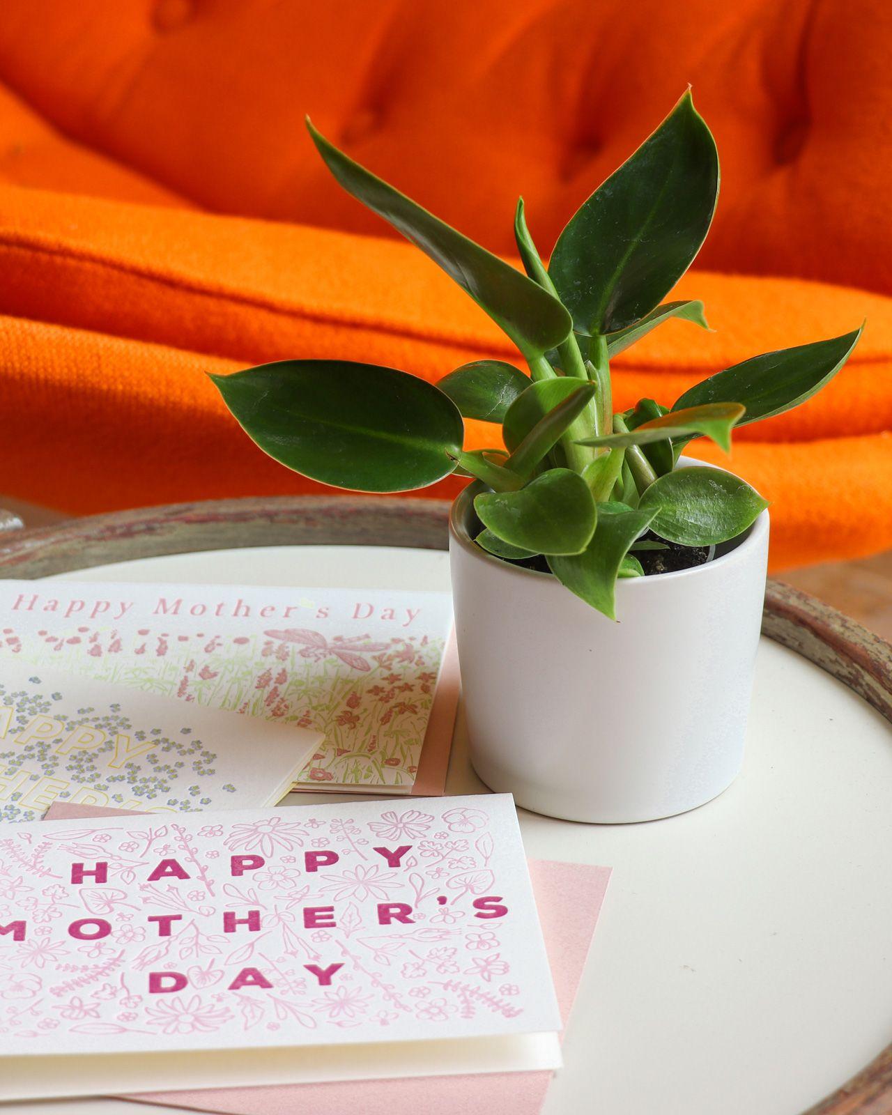 Bébé Birkin With Letterpress Card