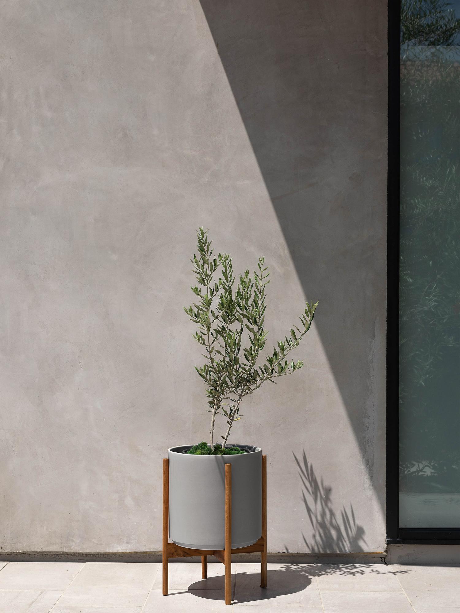 Olive Bush Large (2 ft tall) – White Mid-Century Ceramic & Light