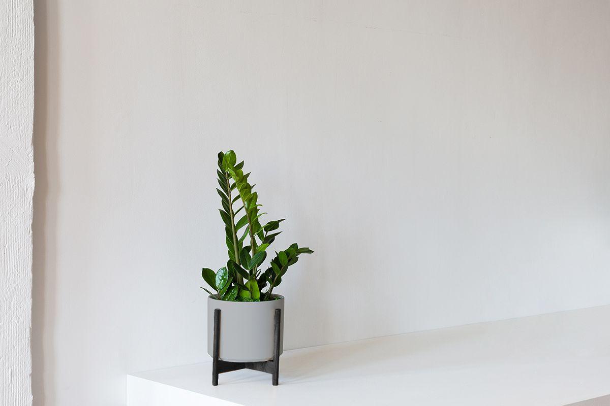 zanzibar-gem-gray-mid-century-