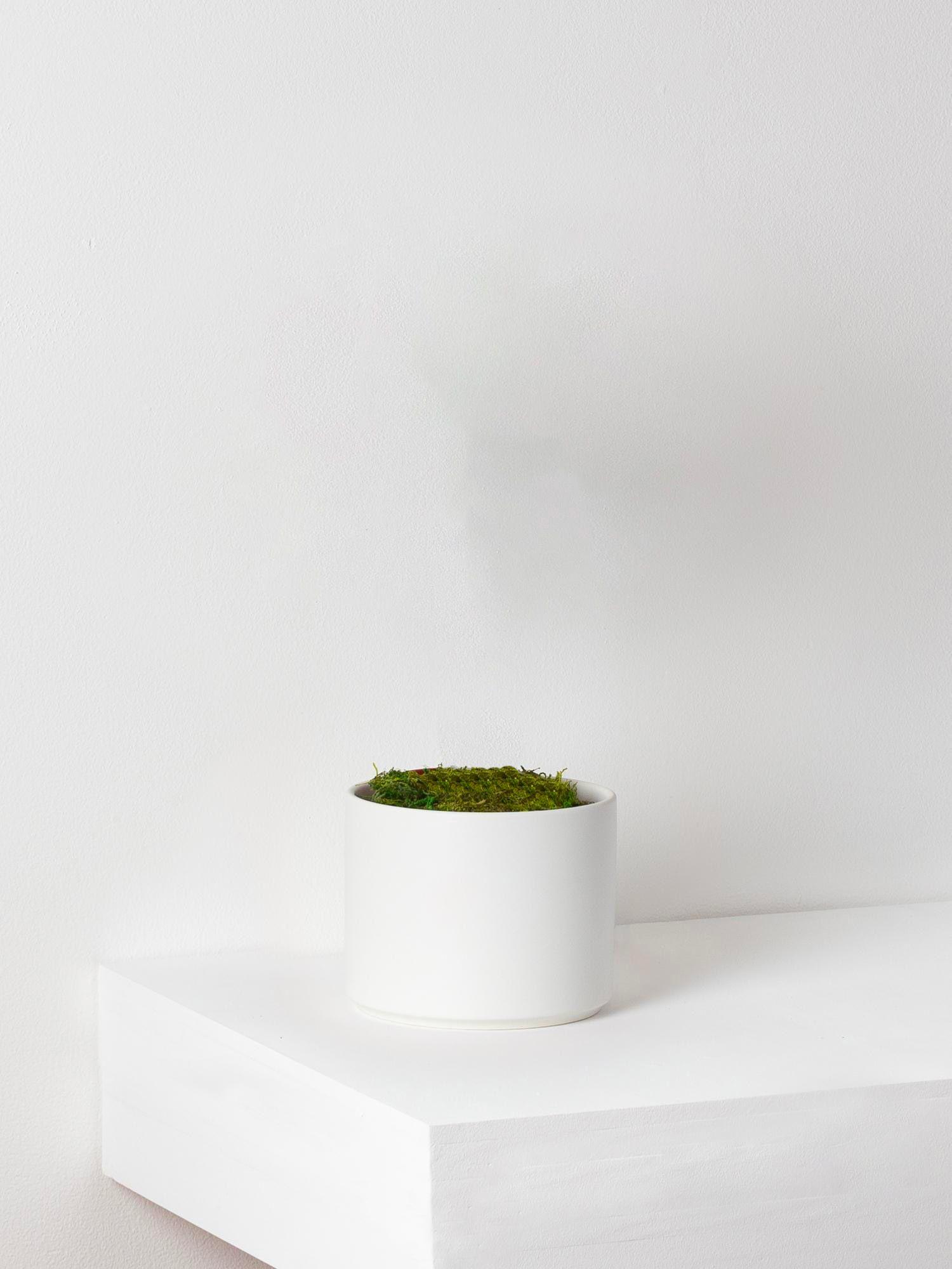 Cache-pot Velvet Blanc - Le 20