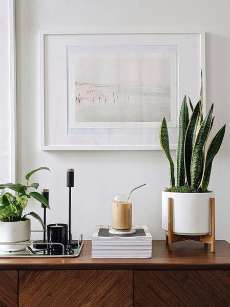 Jade Pothos