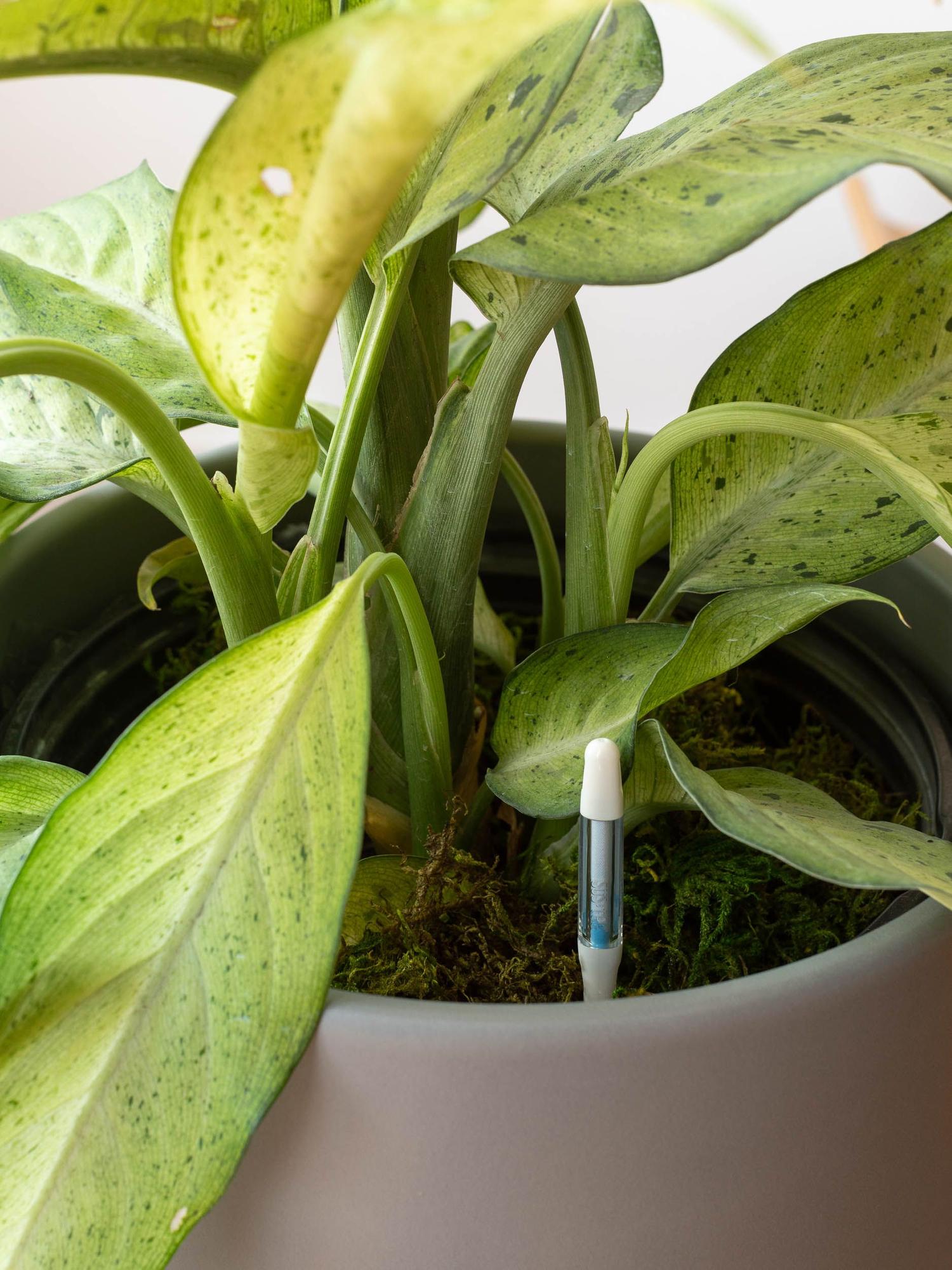 The Complete Moisture Meter Set