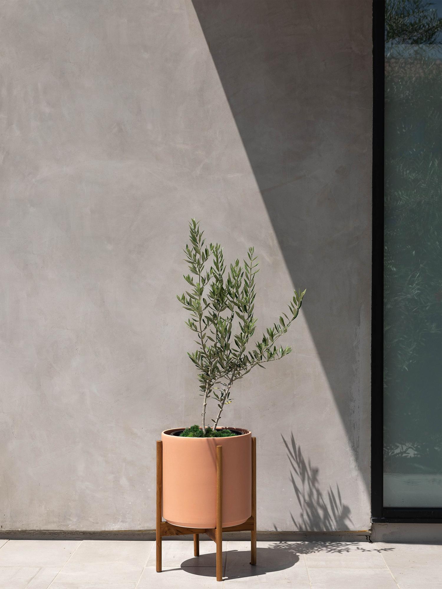 Olive Bush Large (2 ft tall) – White Mid-Century Ceramic & Light